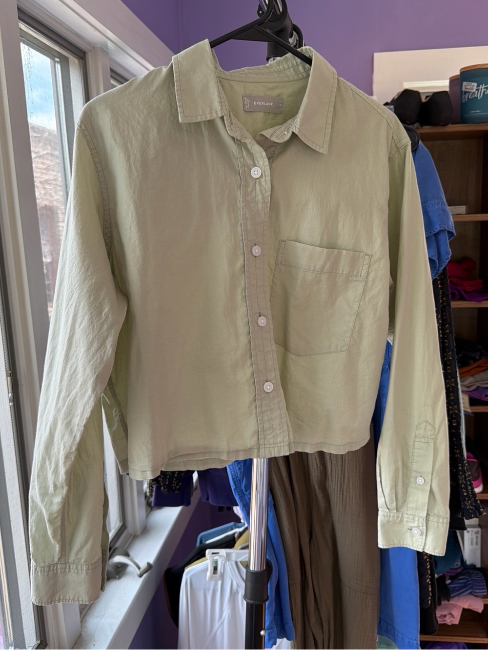 Everlane Size S. Light Green Button-Down Shirt